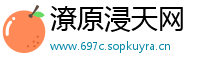 潦原浸天网